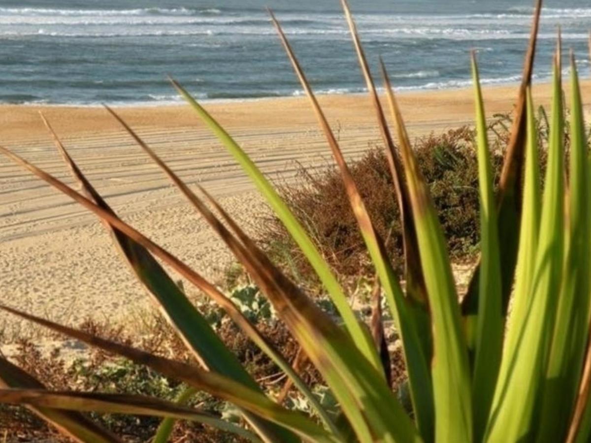 Appartement Renove Avec Balcon, Proche Plage Et Marche - 4 Pers, Calme & Confort A Seignosse - Fr-1-239-460 Eksteriør bilde