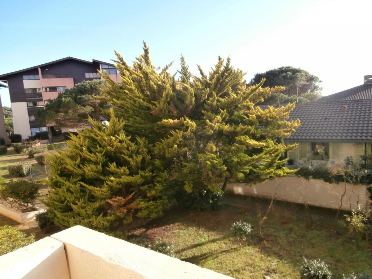 Appartement Renove Avec Balcon, Proche Plage Et Marche - 4 Pers, Calme & Confort A Seignosse - Fr-1-239-460 Eksteriør bilde